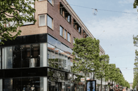 En solig gågata i en stadsmiljö med flervåningshus i tegel, stora butiksfönster i glas och en rad av gröna träd längs trottoaren.