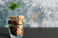 Ett litet grönt skott växer upp ur ett glas fyllt med olika mynt. Bilden symboliserar ekonomisk tillväxt eller sparande och har en suddig, melerad bakgrund i blåtoner.