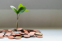 En liten grön planta som växer upp ur en hög med mynt, vilket symboliserar ekonomisk tillväxt och investering.