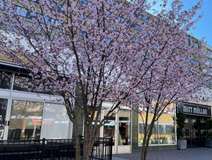 Ledig lokal på Bangatan 3