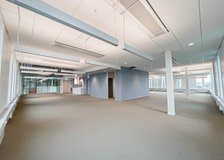 Fridtunagatan 41, Ebbepark