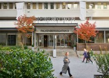 Falkenbergsgatan 3, Krokslätt