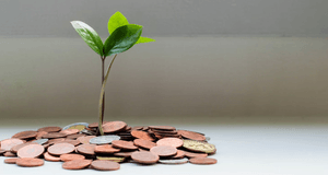 En liten grön planta som växer upp ur en hög med mynt, vilket symboliserar ekonomisk tillväxt och investering.
