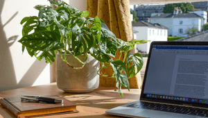 En hemkontorsmiljö på ett skrivbord av trä framför ett fönster. På bordet står en frodig Monstera adansonii i en betongkruka, en bärbar dator med ett öppet dokument och en klassisk anteckningsbok med en exklusiv penna ovanpå. Utanför fönstret syns en lugn