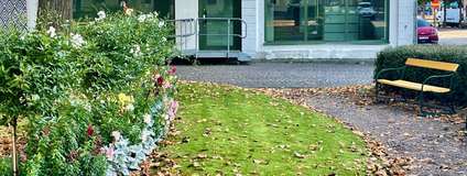 Ledig lokal på Gamla Stadens torg 3