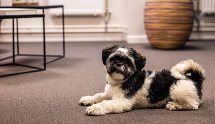 Ledig lokal på Mässans gata 10