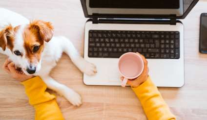 Ledig lokal på Mässans gata 10