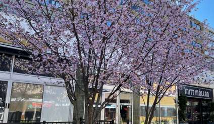 Ledig lokal på Bangatan 3