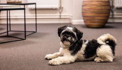 Ledig lokal på Mässans gata 10