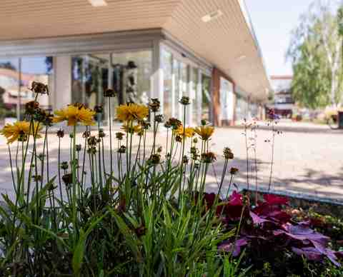 Ledig lokal på Stora Torget 8