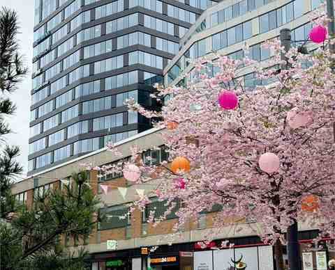 Ledig lokal på Brogatan 7