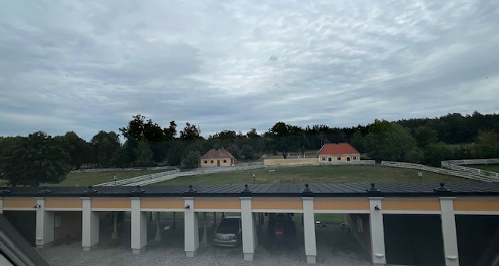 10.jpg 10.jpg