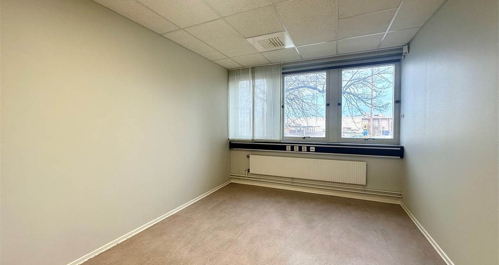 image.jpeg image.jpeg