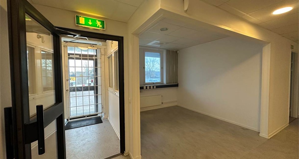 image.jpeg image.jpeg