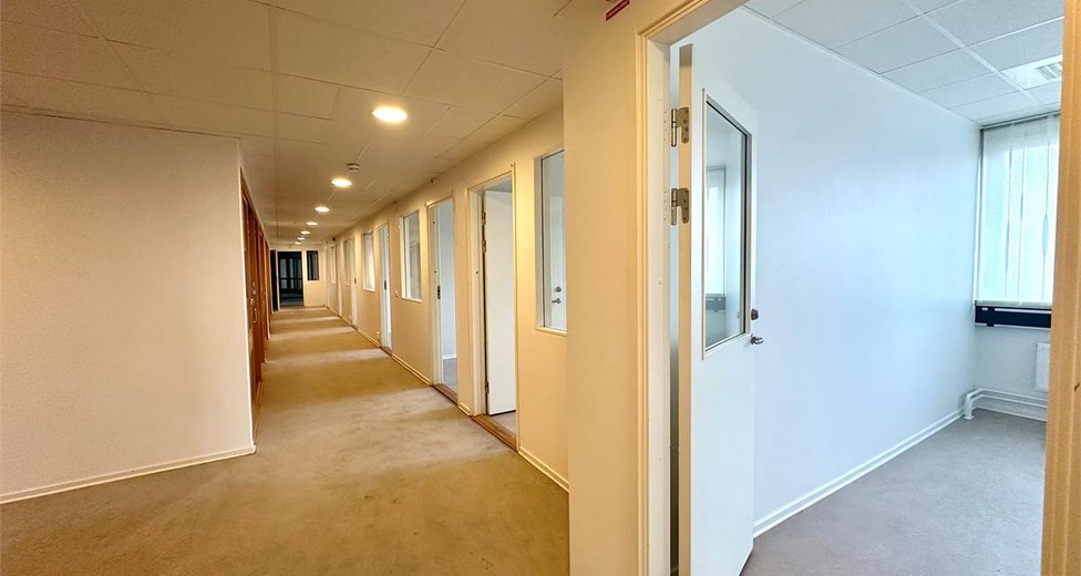 image.jpeg image.jpeg