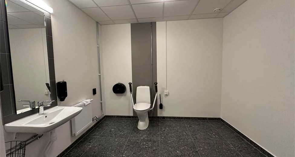 image.jpeg