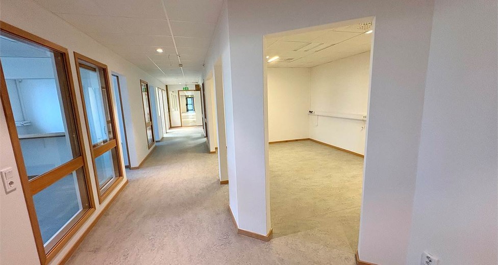 image.jpeg image.jpeg