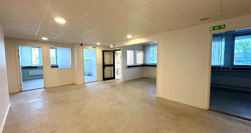 image.jpeg image.jpeg