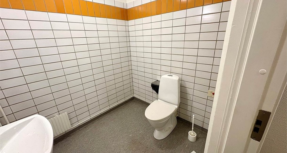 image.jpeg image.jpeg