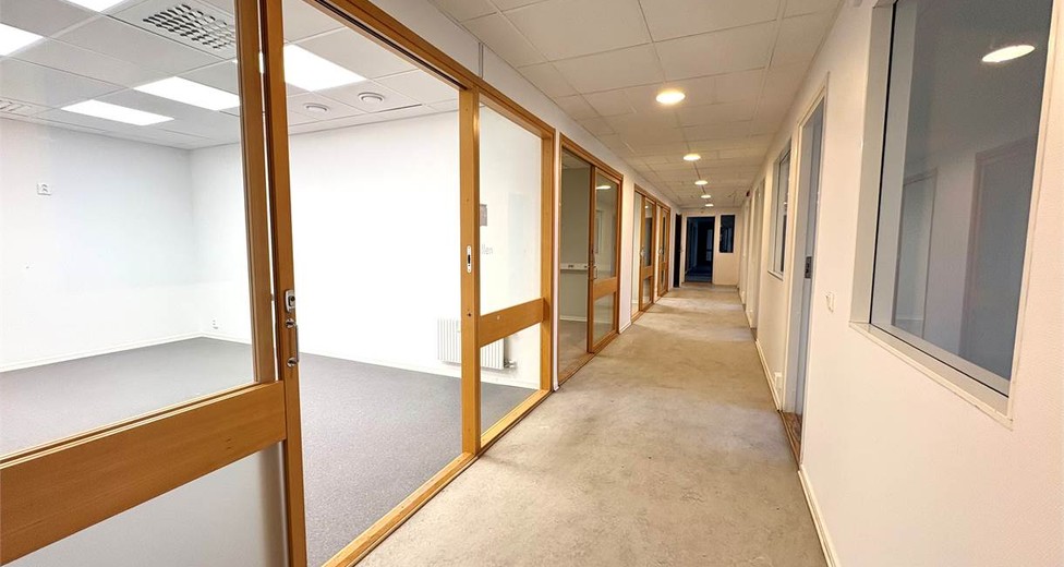 image.jpeg image.jpeg