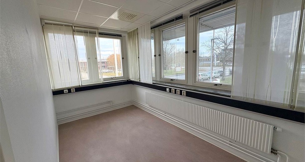 image.jpeg image.jpeg