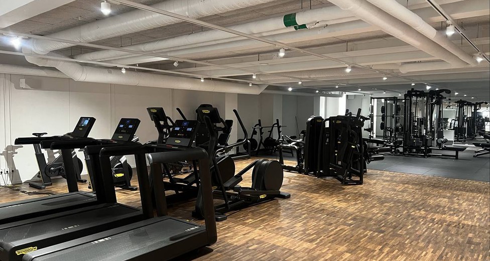 Image (6).jfif Image (6).jfif