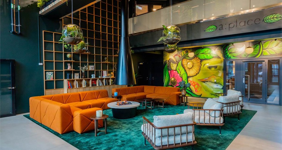 Image (3).jfif Image (3).jfif