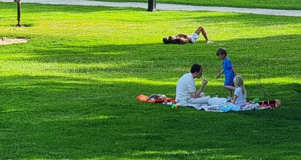 Vackra Humlegården som närmaste granne.jpeg Vackra Humlegården som närmaste granne.jpeg