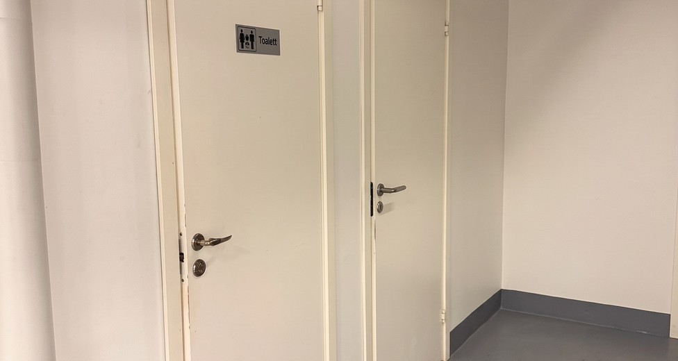 29.jpeg 29.jpeg
