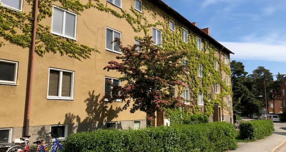Huset.jpg