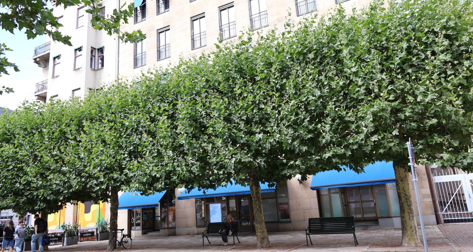 Stortorget 3 Stortorget 3