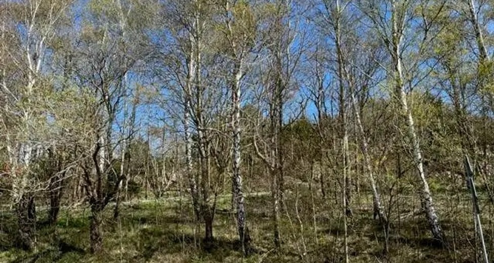 Klangfärgsgatan 23 Klangfärgsgatan 23