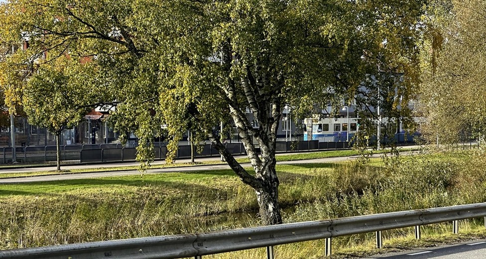 Flöjelbergsgatan 20C Flöjelbergsgatan 20C