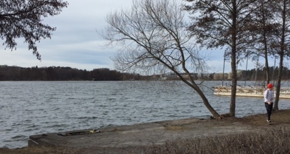 IMG_2086.JPG IMG_2086.JPG