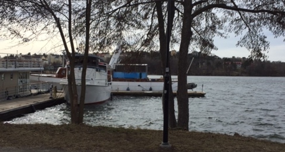 IMG_2085.JPG IMG_2085.JPG