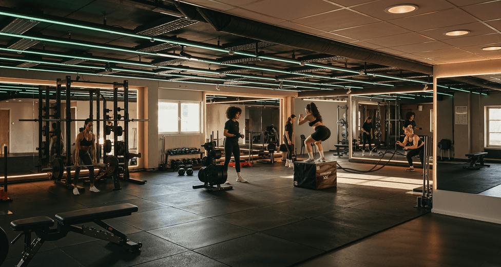 Vision Gym