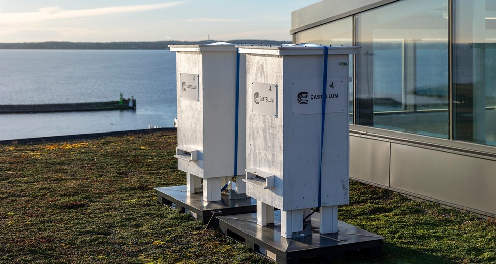 Castellum_GreenHaus_Terrass_8284