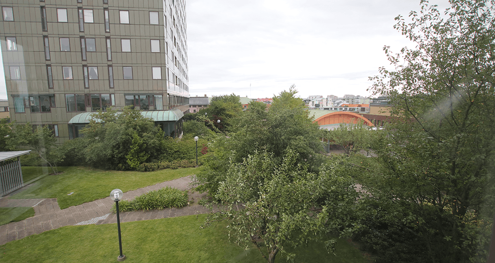 Drottninggatan 29 - 100 kvm