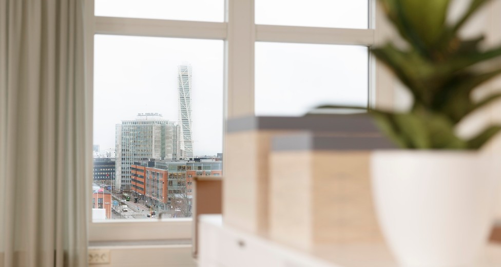 Detaljbild med utsikt över Malmö och Sundet.