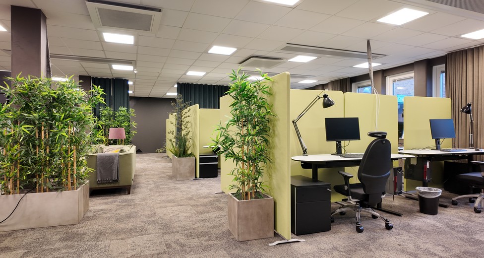 DJI_20251202153630_0686_D.JPG DJI_20251202153630_0686_D.JPG