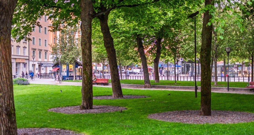 Torsgatan 21