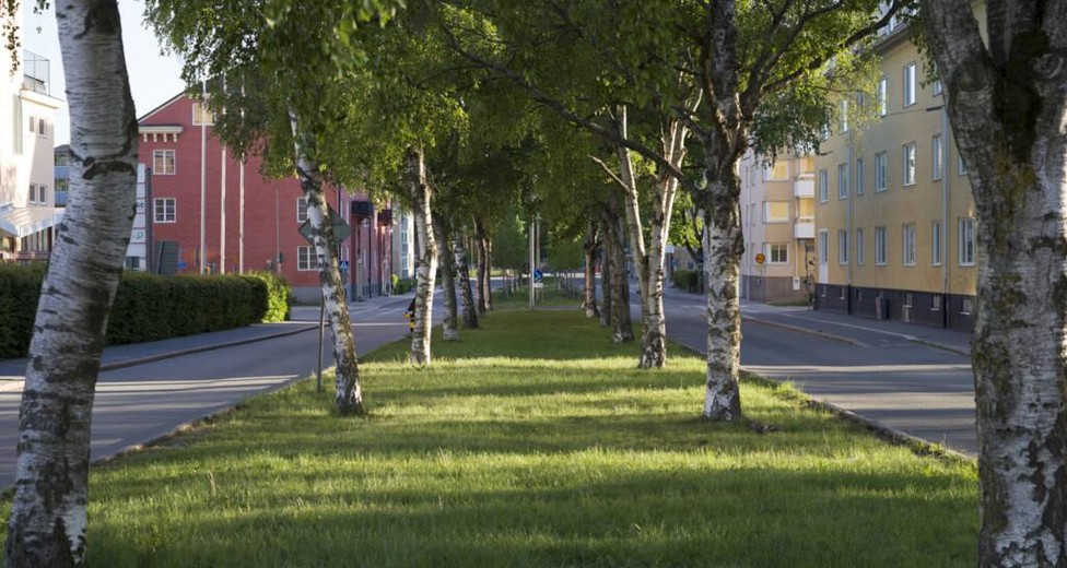 St Olofsgatan 33 St Olofsgatan 33